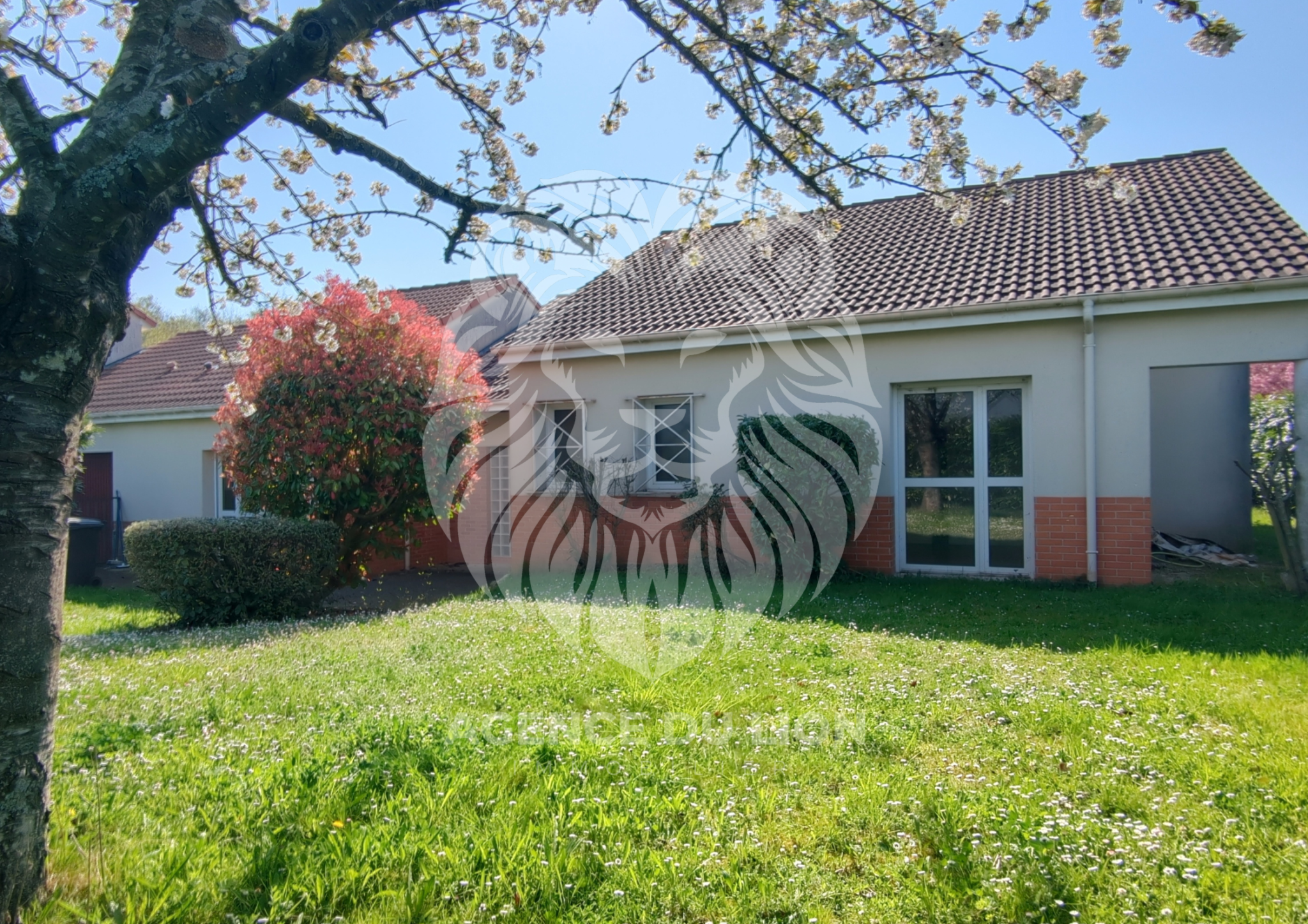 Agence immobilière de AGENCE DU LION
