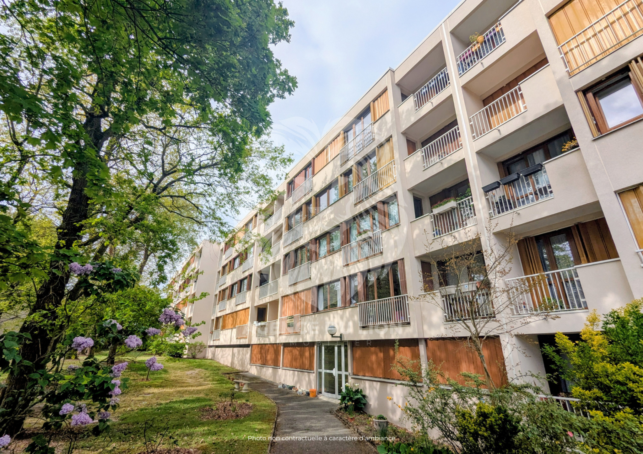 Agence immobilière de AGENCE DU LION
