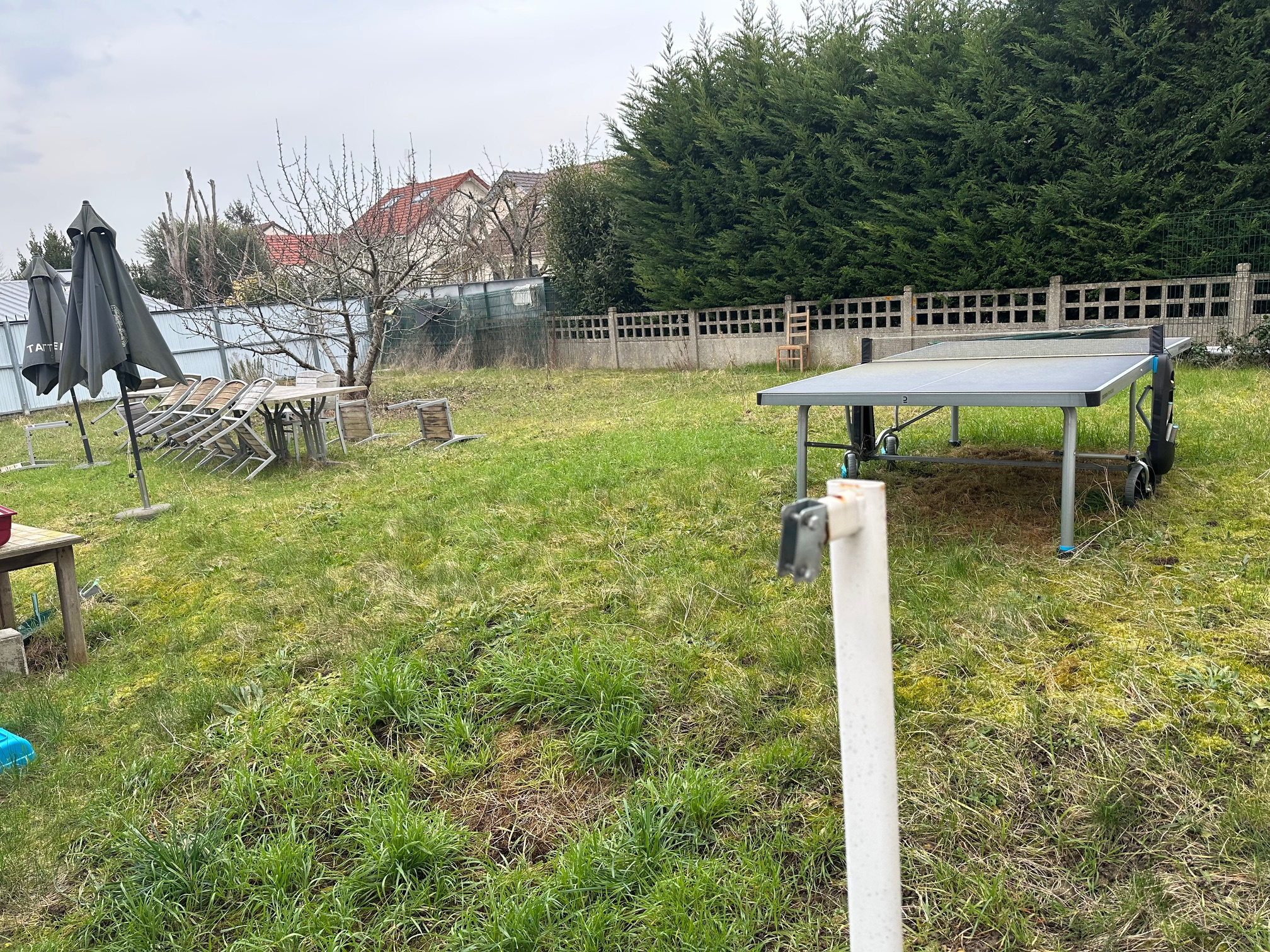 Agence immobilière de AGENCE DU LION