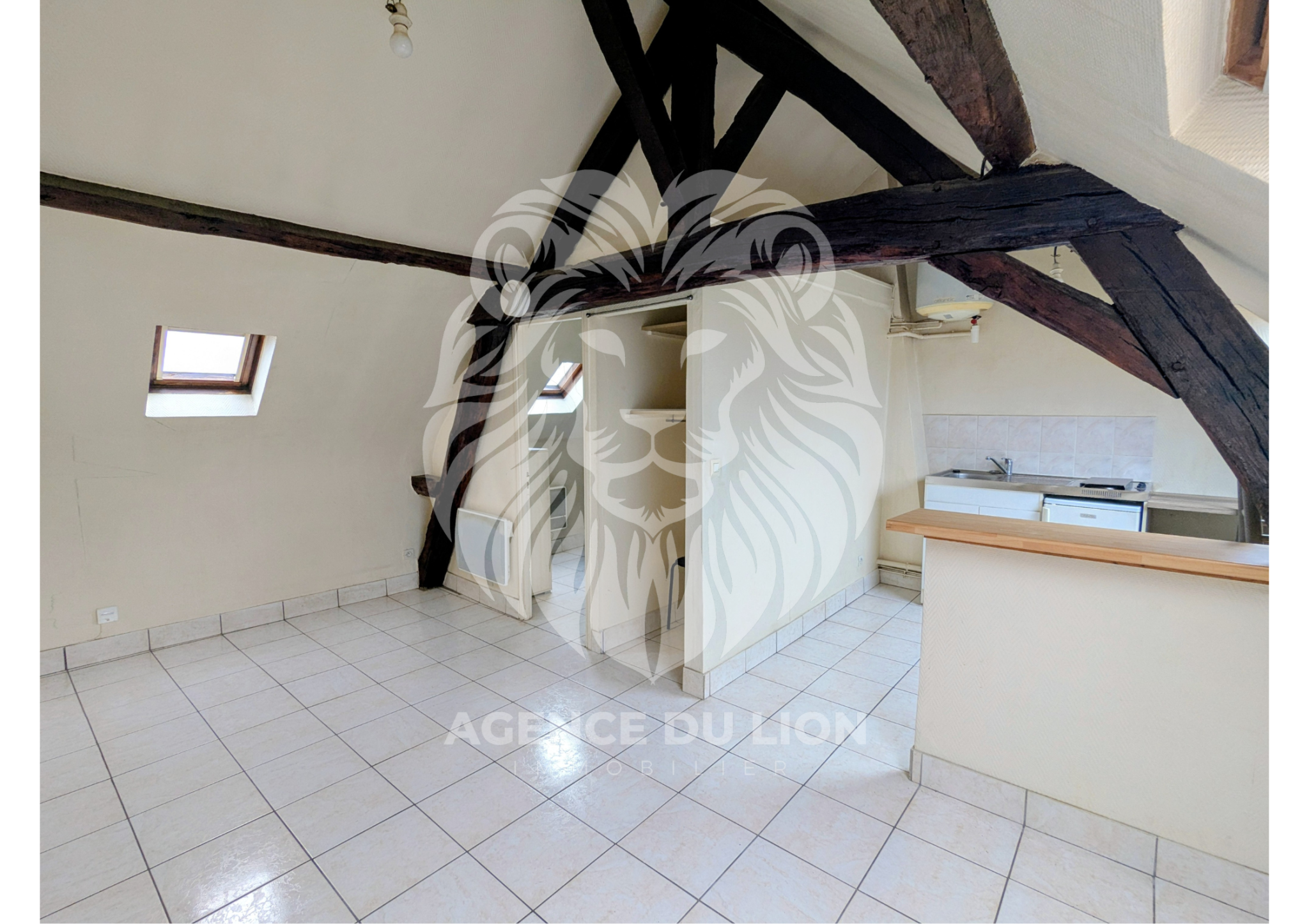 Agence immobilière de AGENCE DU LION