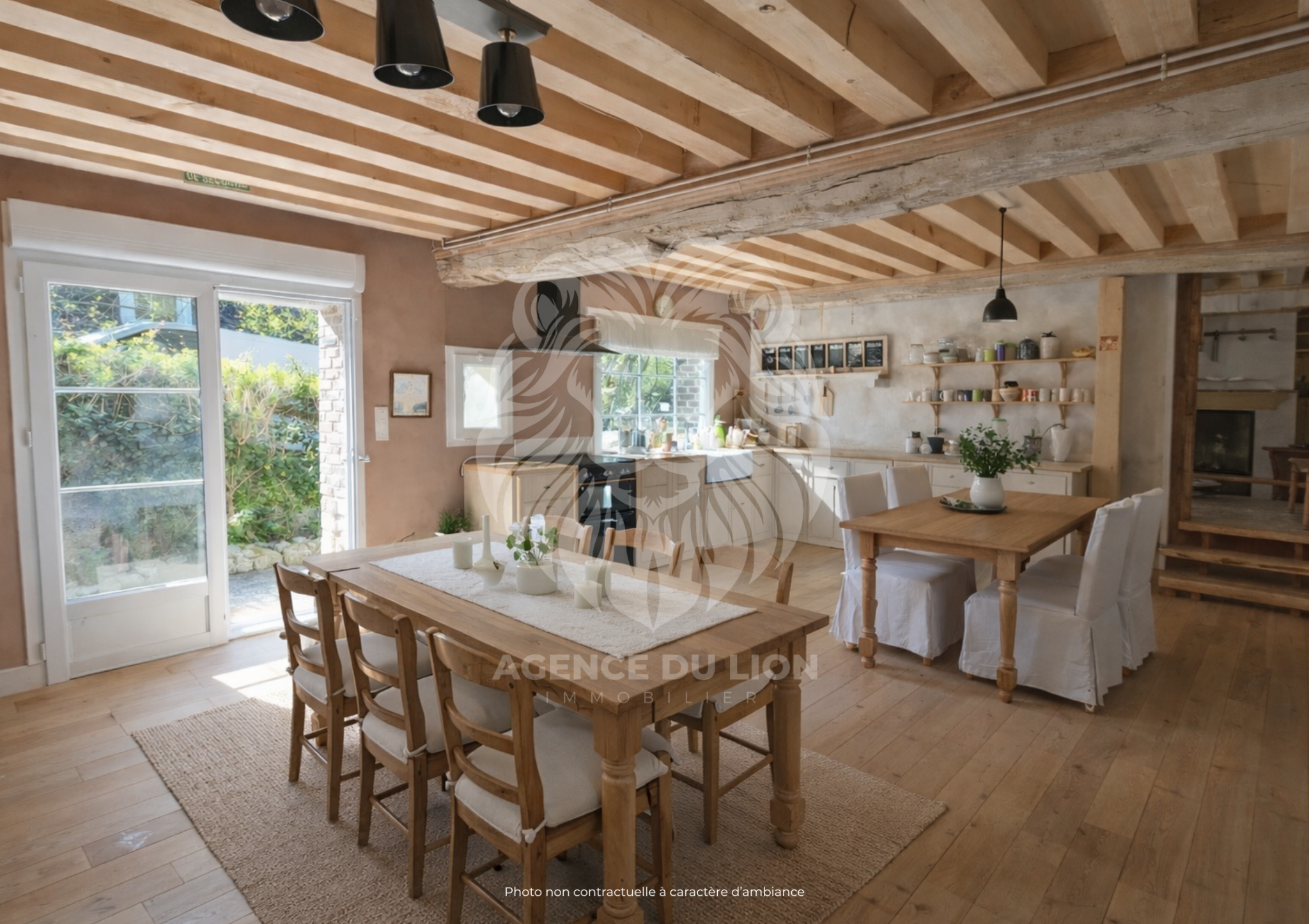 Agence immobilière de AGENCE DU LION